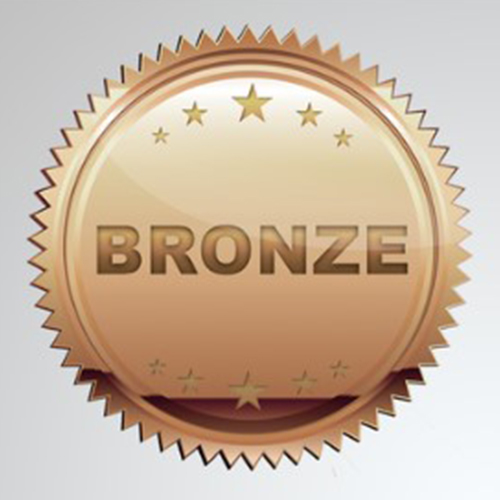 Bronze Level Sponsorship